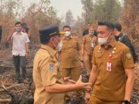 Ilustrasi Gubernur Kalteng Tinjau Karhutla di Kawasan Universitas Palangka Raya, Perintahkan Pembuatan Sumur Bor Darurat